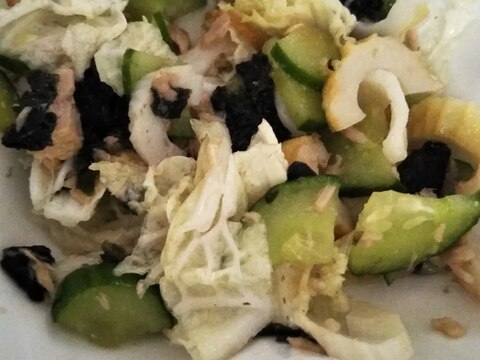 超簡単白菜とツナのサラダ